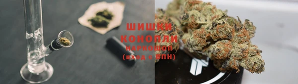 соль ск Бородино