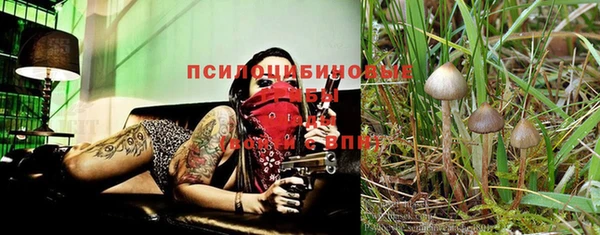 первитин Бронницы