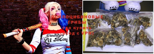 шишки Бугульма