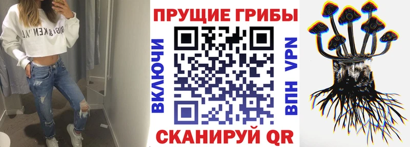 Галлюциногенные грибы ЛСД  Архангельск 